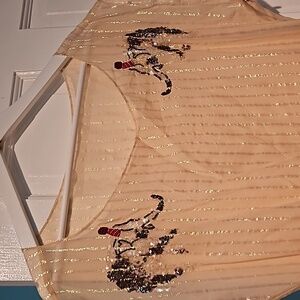 Sheer iridescent overlay dress